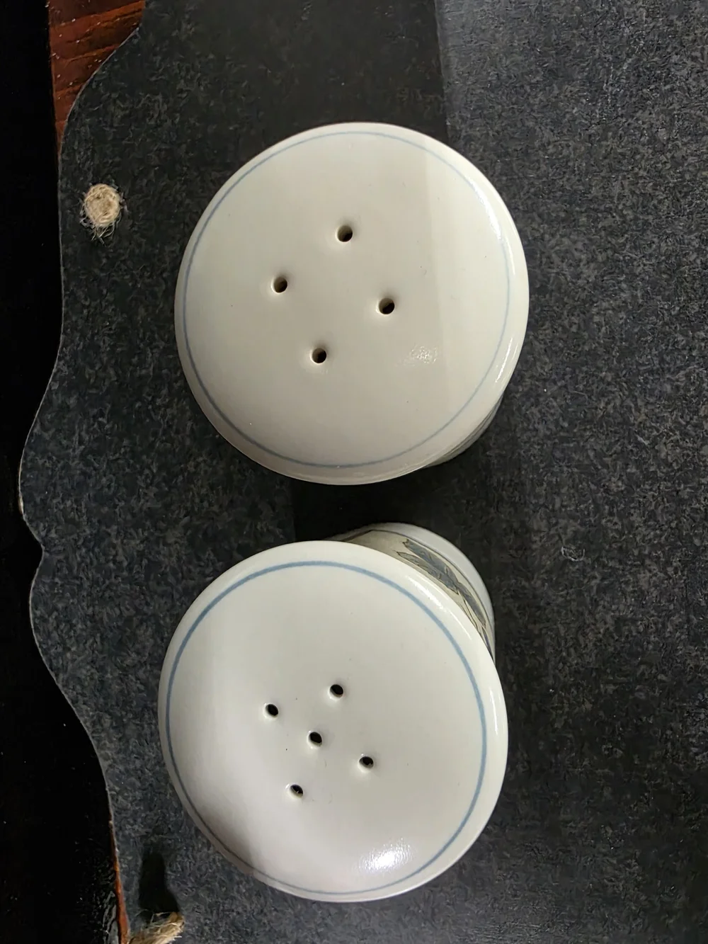 Mikasa Salt and Pepper Shakers - GARDEN HARVEST